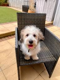 Yes please & Thank you A groomer, hug Bc Pro Smile Producers o' Fatty Fun  In the key this eve O' Lady Brad'y Hoooly Yes please! aka Dial to 11 style  smiles