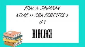 We did not find results for: Soal Pat Biologi Kelas 11 Sma Smk Semester 2 Kunci Jawaban Ukk Uas Pilihan Ganda Essay Halaman All Tribun Pontianak