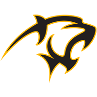 The wordmark should never be altered outside of the following guidelines. Adelphi University Athletics Official Athletics Website