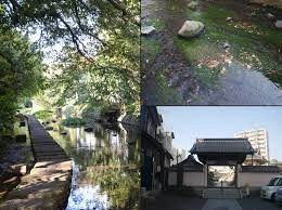 從社區裡那條溪流出發的地方再造 台灣青年拜訪富士山腳下的日本三島市 mishima