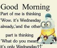 One of the most requested acts in the comedy chains, pete correale was recently named by entertainment weekly as one of the top 10 comics to watch Funny Wednesday Quotes Pictures Photos Images And Pics For Facebook Tumblr Pinterest And Twitter