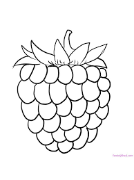 Guineadad's nourish series in raspberry leaf is the a guinea pig's daily boost of fiber and metabolism they need to stay healthy and happy! Raspberry Coloring Picture Raspberries Are The Fruit Of The Family Of Berries Which Have Very Beautiful Coloring Pictures Fruit Coloring Pages Coloring Pages