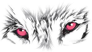 Wolves are one of the largest members of the dog family. White Wolf Protein Sticker For Ios Android Giphy