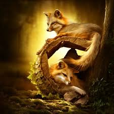 Shelter Animals Animal Paintings Animals Artwork