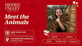 Meet The Animals