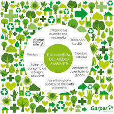 Sitio oficial relativo al día mundial del medio ambiente de las naciones unidas. Que Es El Dia Mundial Del Medio Ambiente Respuestas Tips