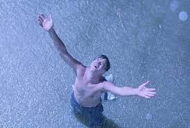 Le ali della libertà/ video, su rete 4 il film con tim robbins e morgan freeman. Stephen King 5 Titoli Tra Cinema E Tv Per Riscoprire Il Lato Piu Atipico Del Re Del Brivido
