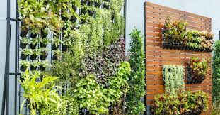 zelf een verticale tuin plantenmuur maken buitenlevengevoel nl verticale tuin verticale tuinen tuin