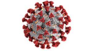 The future of travel in the covid era. I Study Viruses How Our Team Isolated The New Coronavirus To Fight The Global Pandemic