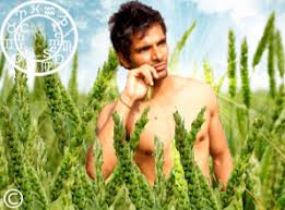 Méthodique et pragmatique, vous réfléchissez toujours avant d'agir. Vierge Ascendant Vierge Chris Semet Voyant Astrologue