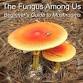 The Fungus Among Us: A Beginner’s Guide to Mushrooms event image