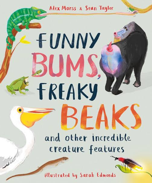 Funny, Bums, Freaky Beaks and Other Incredible Creature Features