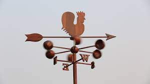 All eggs are free range and organic from our chickens: Chicken Wind Chime Moving Stock Footage Video 100 Royalty Free 17489605 Shutterstock