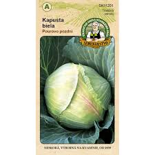 Image result for hlávková kapusta