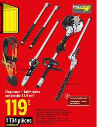 Offre Elagueuse Taille Haies Sur Perche 32 6 Cm3 Chez Brico Depot