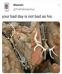 Pin By Arslan Uchiha On Universe Animals Bad Day Universe