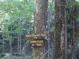 18 miles of the trail traverse the park passing through some of the most impressive mature forest in nys and connecting in the south to the allegheny national forest and beyond. Hikers Get Nod Over Bikers In Allegheny National Forest Area Pittsburgh Post Gazette