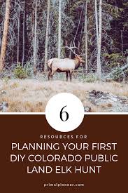 6 Resources For Planning Your First Diy Colorado Public Land Elk Hunt Elk Hunting Elk Elk Hunting Colorado