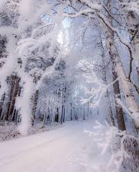 Beautiful natural landscape in the norway. Account Suspended Winter Pictures Winter Scenery Winter Wonder