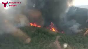 We did not find results for: Cyw5sw Cqr8ufm