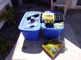 The plants are suspended from the lid of the container. Pin On Hydroponics Gardening Projects