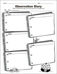 Observation Diary Investigation Graphic Organizer For The
