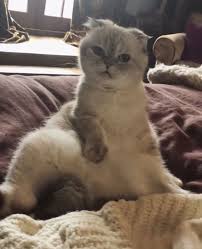 Taylor Swift Adli Kullanicinin Olivia Meredith Benjamin Panosundaki Pin