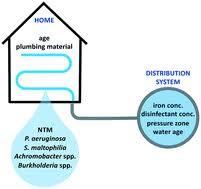 Get rt olson plumbing reviews, ratings, business hours, phone numbers, and directions. Emerging Investigator Series Bacterial Opportunistic Pathogen Gene Markers In Municipal Drinking Water Are Associated With Distribution System And Household Plumbing Characteristics Environmental Science Water Research Technology Rsc Publishing