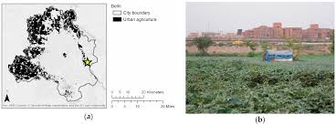 Household Food Consumption Patterns and Food Security among Low-Income  Migrant Urban Farmers in Delhi, Jakarta, and Quito