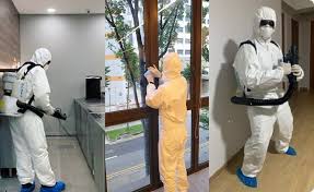 How Professional Pest Control Services in Singapore Keep Your Home Safe