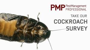Bennett is well known as the home window to open up the globe, the life, as. The Clock Is Pest Management Professional Magazine