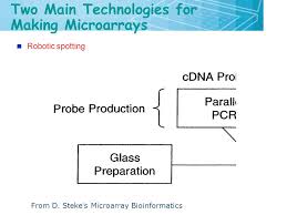 overview of microarray 2 71 gene expression gene expression