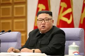 Kim jong un and kim yo jong went through so many things together, bong youngshik from yonsei university in seoul told dw, adding that their relationship remained close when they moved back to north korea. North Korea S New Must Read Kim Jong Un S New Biography Wsj