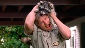 Check spelling or type a new query. Top 10 Serious Animal Attack Scenes In Movies Watchmojo Com