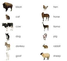 Farm Animals Adults Matching Maitri Learning Farm Animals List Farm Animals Animals