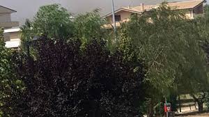 Un vasto incendio si è sviluppato all'alba di oggi poco prima delle 5.30 all'interno dello stabilimento balneare tortuga lungo la riviera nord, al confine fra pescara e montesilvano. Es0xvkwccsyiom