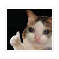 Show your fealty by posting them here. Pin On Sad Cats