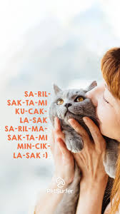 Onlara Sarilmak Icin Bahane Cok Kedine Saril Gunumuz Kutlu Olsun Petsurfer Com Petsurfer Sanaozgurlukpet Kedi Evcil Hayvanlar Hayvanlar