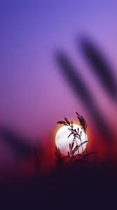 Pin By Samira On Nature Photography Oneplus Wallpapers Nature Wallpaper Sunset Wallpaper