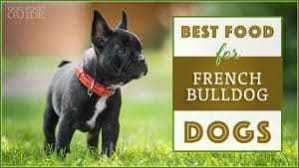 There are good wet dog foods that goes well with your french bulldog. 10 Best Dog Food For French Bulldogs In 2021