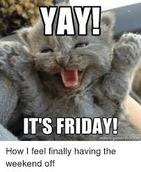 Pin By Kapricious Kitty On Happy Days Every Day Of The Week Life Happy Memes Funny Pictures Friday Meme