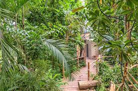 Check spelling or type a new query. Botanischer Garten Wurzburg Botanischer Garten