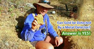 Hello joesdigs, are you wanting a fully submersible detector or a detector to walk through the water and detect bedrock you can reach? Can Gold Be Detected By A Metal Detector Answer Is Yes