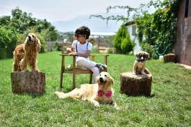 Izmir De Evcil Hayvanlarinizi Guvenle Birakabileceginiz Kedi Ve Kopek Otelleri