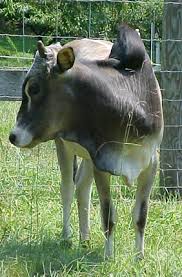 Auch heute noch sind die folgen für die betroffene region spürbar. Rundschreiben02