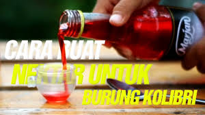 Kata kata nasehat jawa sering dijadikan sebagai pedoman bagi sebagian orang jawa. Nurduki Vlog Rahasia Rawatan Burung Kolibri Air Gula Aja Gak Cukup By Nur Dunia Kicau