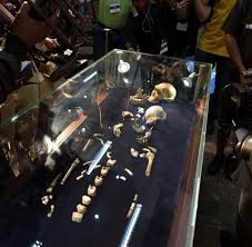 Homo naledi lived as recently as 236,000 years ago and could have crossed paths with the direct ancestors of modern humans now, the scientists who uncovered homo naledi have announced two new findings: Homo Naledi Er Lebte Zeitlich Mit Modernen Menschen Welt