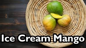 I'm so excited to be planting an ice cream bean tree in my garden and edible landscape! Truly Tropical Mango Varieties Ice Cream Youtube