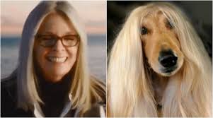 Every time I see Diane Keaton, I can't help but think about how much she  looks like an Afghan Hound... : r/Oscars