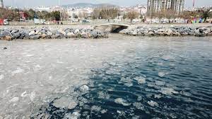 Deniz salyası diğer adıyla müsilaj, tüm bitkiler ve bazı mikroorganizmalar tarafından üretilmektedir. Istanbul Da Tedirgin Eden Goruntunun Nedeni Belli Oldu Deniz Salyasi Nedir